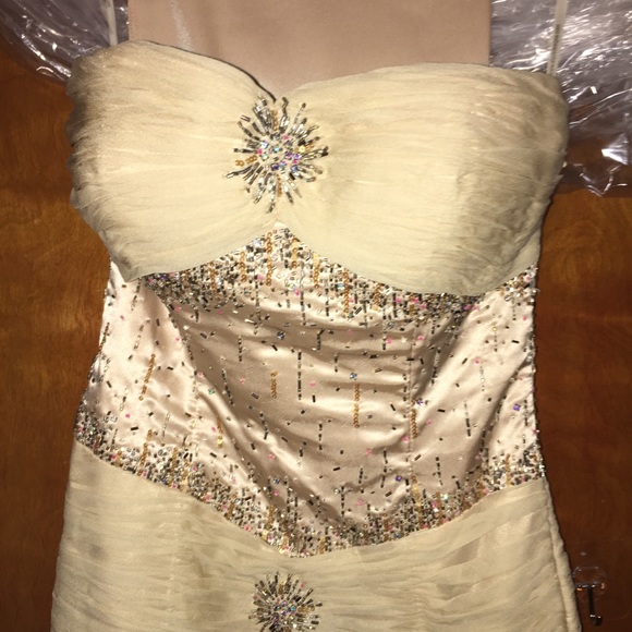 Alyce Design Aline strapless nude gown. SZ. 4 - Picture 2 of 10